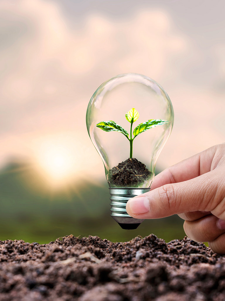 Ręka trzymająca żarówkę z rośliną w środku