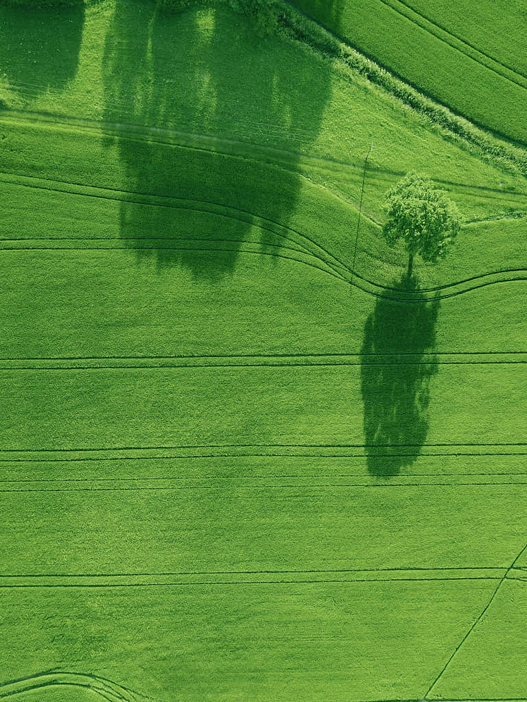 Widok zielonych pól z lotu ptaka